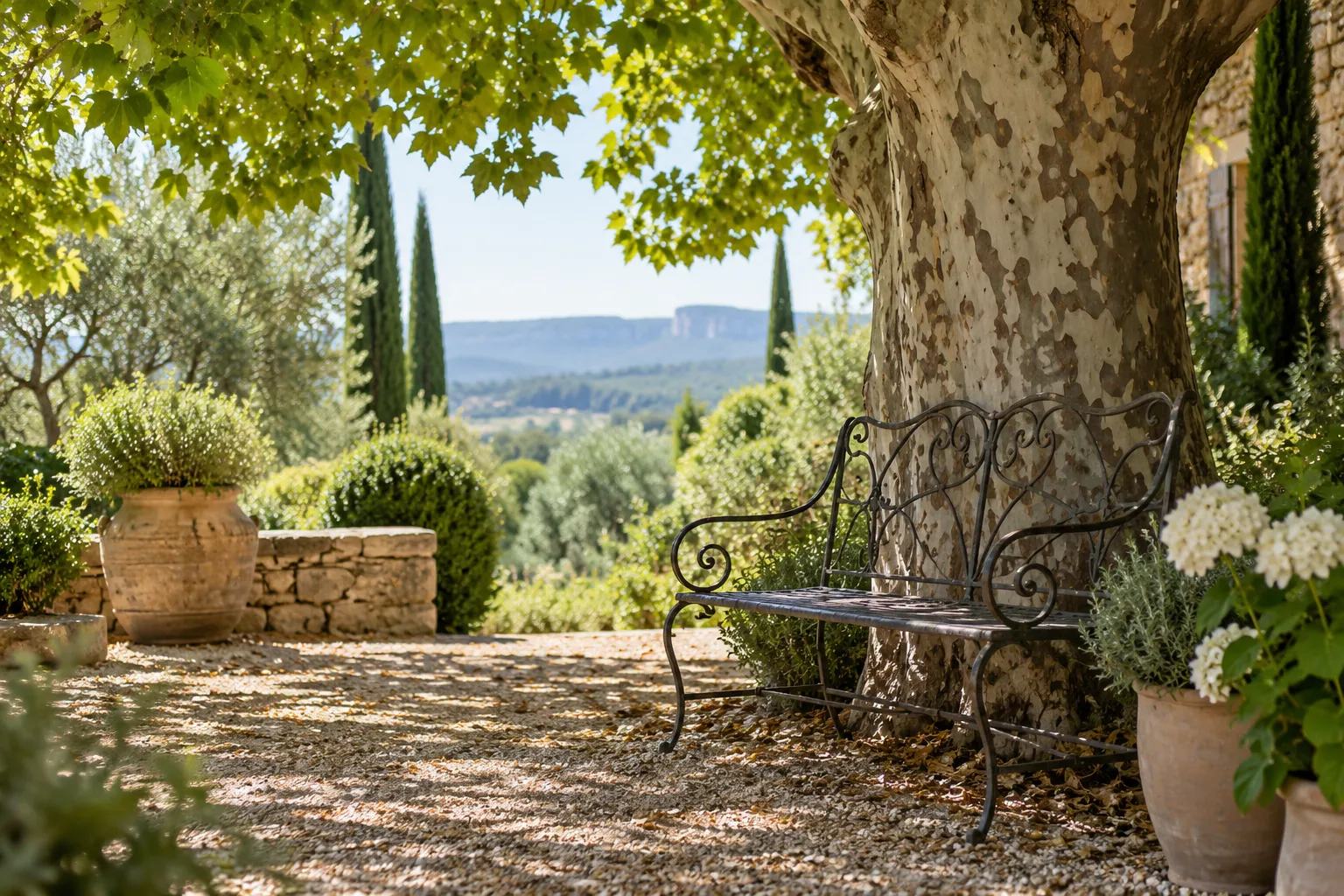 Banc en fer forgé à l'ombre d'un grand platane dans un jardin calme